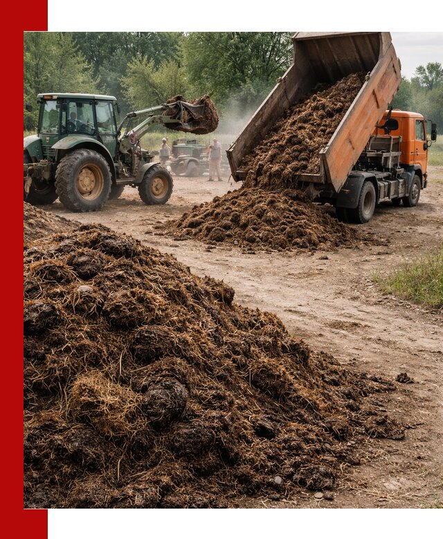 Доставка навоза самосвалами в Городце для сельхозпотребностей