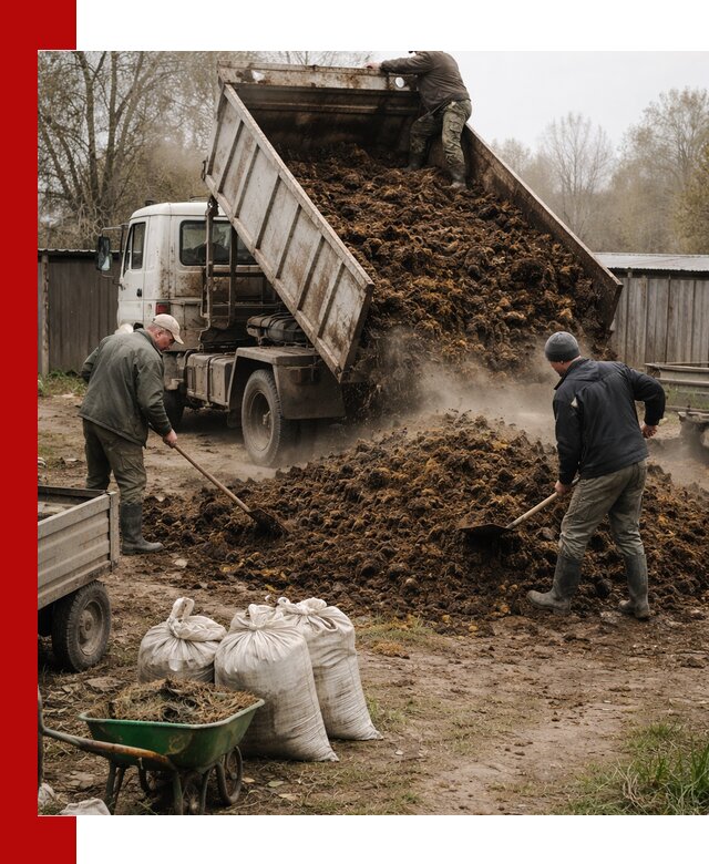 Доставка коровьего навоза самосвалом в Городце